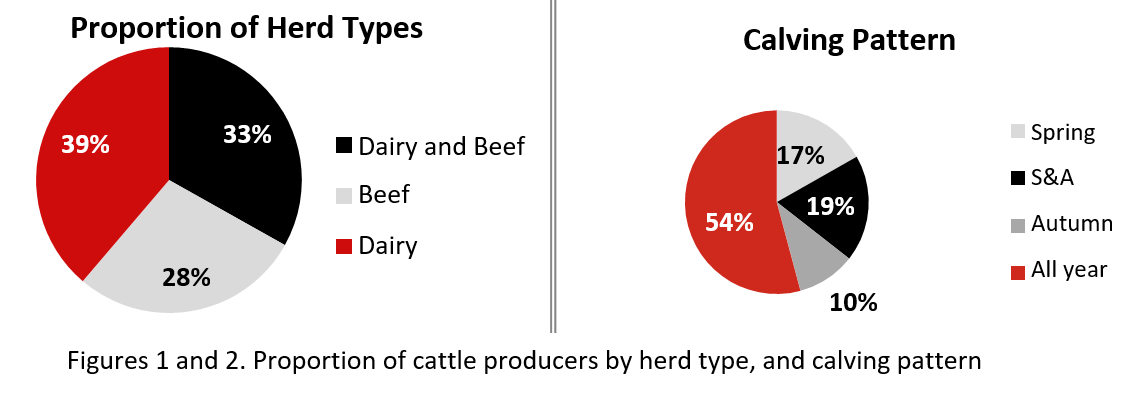 Figures 1 and 2. Proportion of cattle producers by herd type, and calving pattern