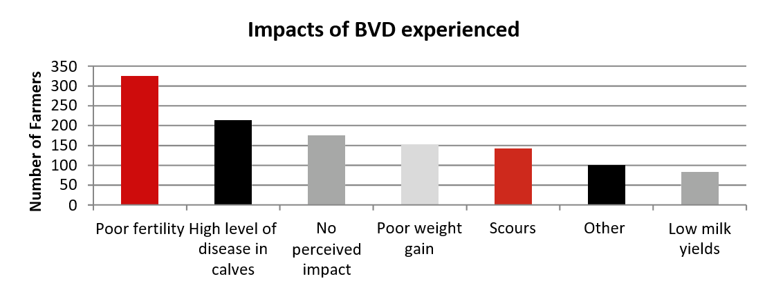 Figure 4. The impacts of BVD experienced by farmers